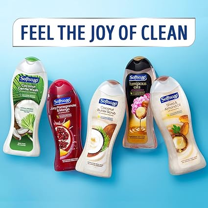 Softsoap Moisturizing Body Wash, Citrus Splash & Berries (4 Pack, 20 fl oz Ea)