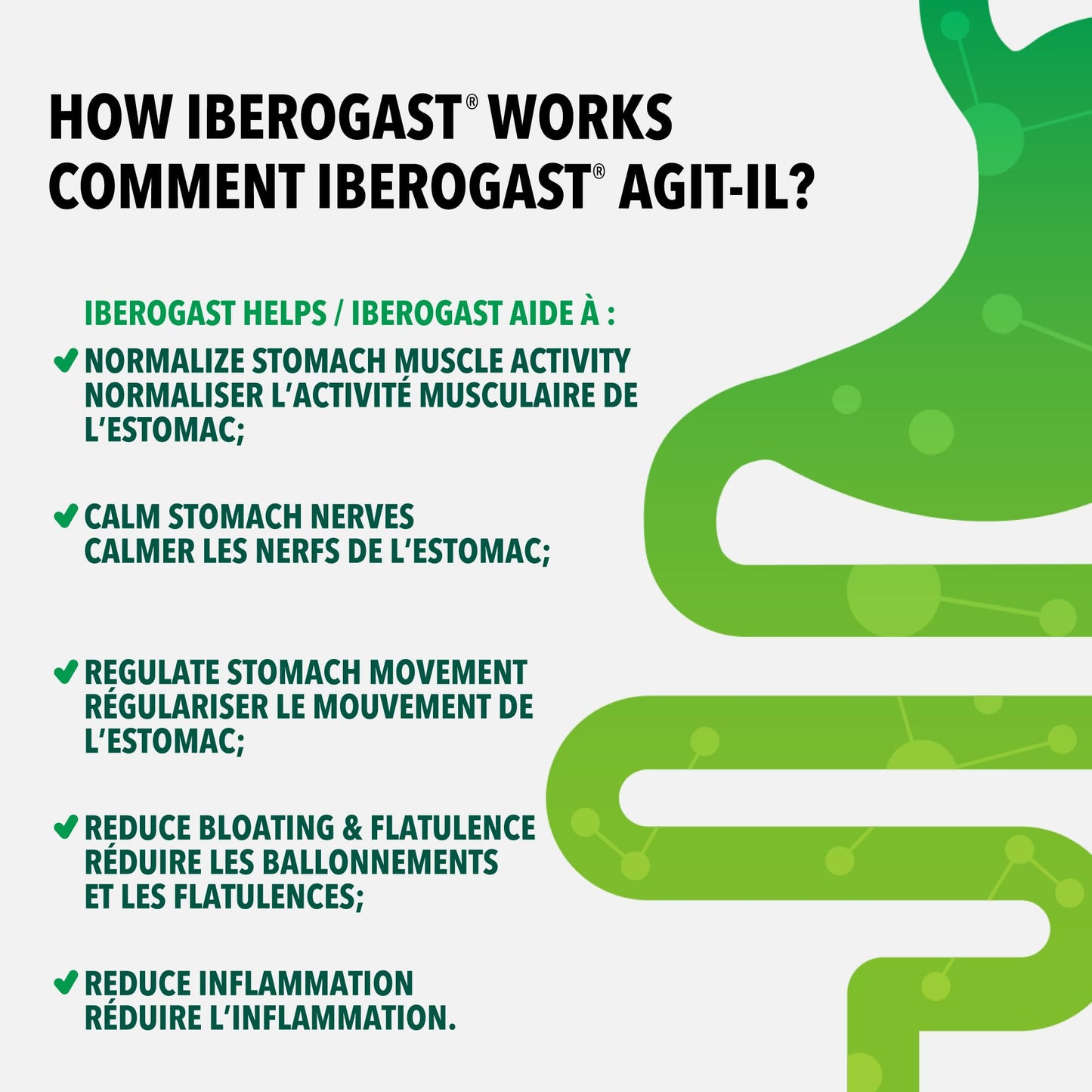 Iberogast Herbal Supplement (2-Pack) for Fast IBS