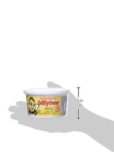 Billy Bee Honey, Pure Natural Honey, 500g