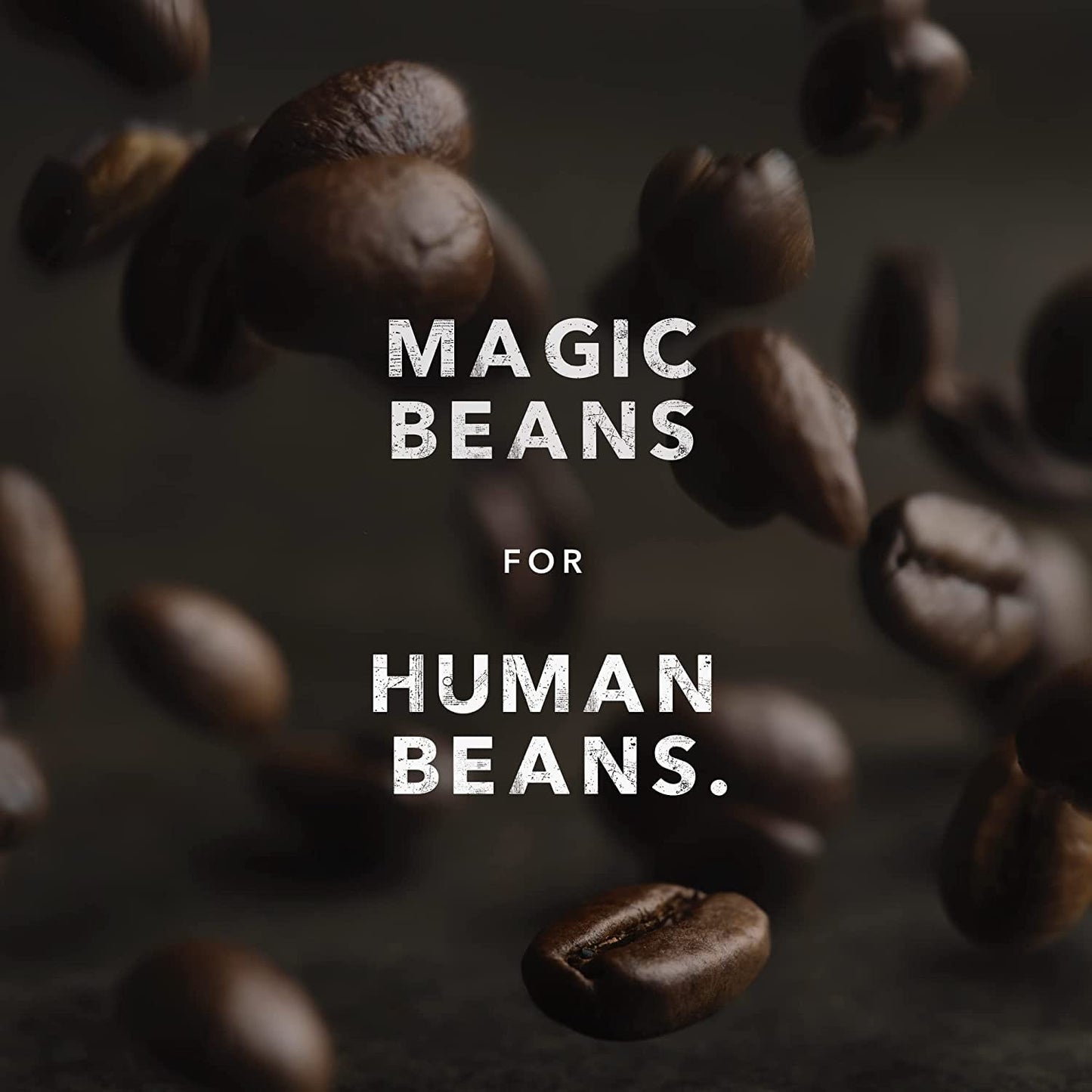 Kicking Horse Organic Decaf Coffee | Swiss Water Process, Dark Roast Whole Bean (1 lb Bag) | Fairtrade