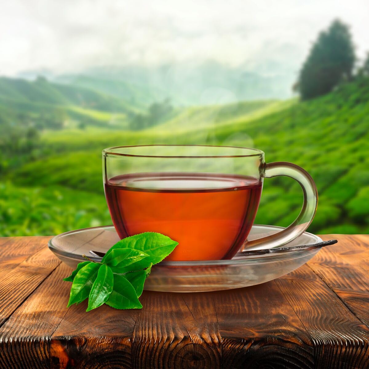 Red Rose Orange Pekoe Black Tea - (216 Teabags)