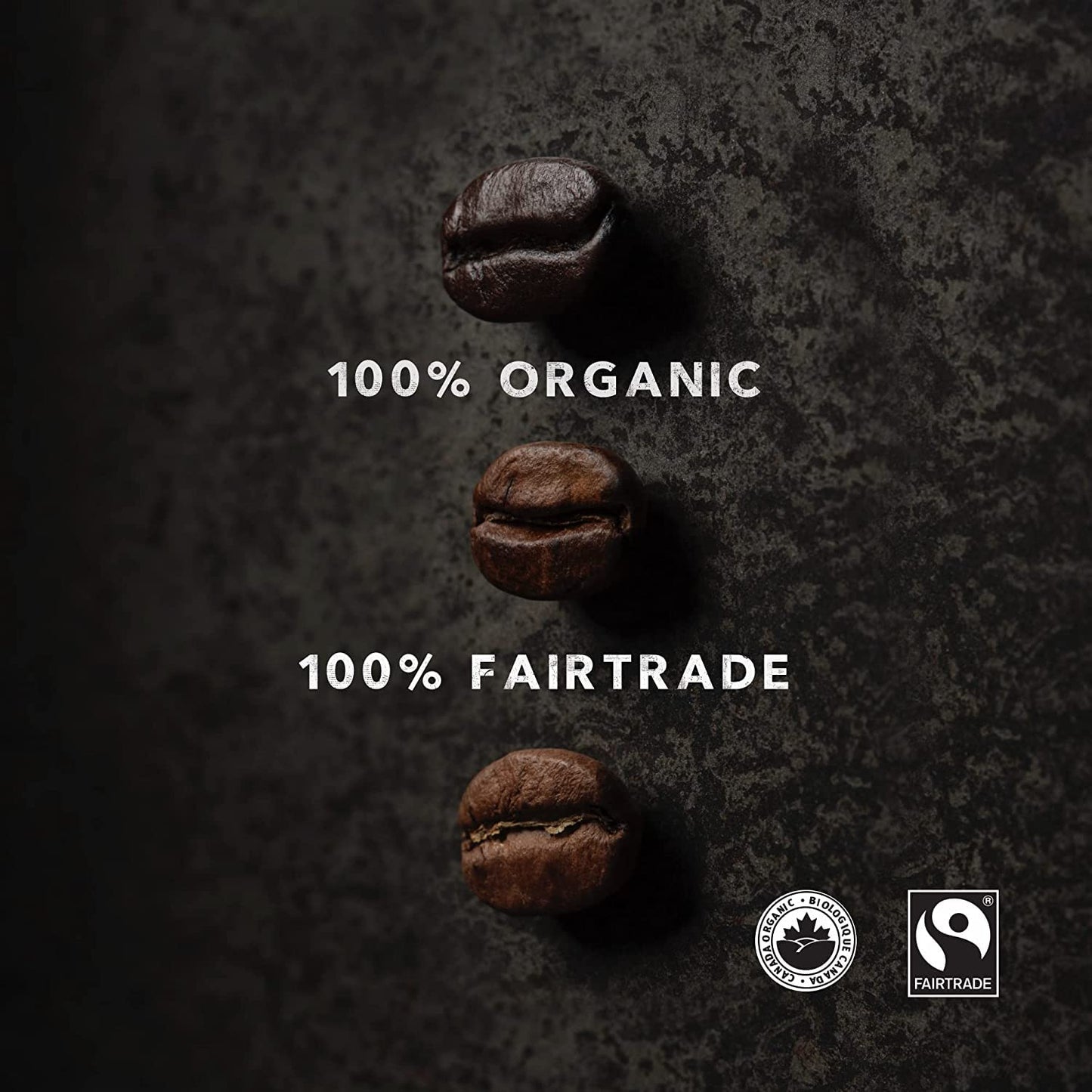 Kicking Horse Organic Decaf Coffee | Swiss Water Process, Dark Roast Whole Bean (1 lb Bag) | Fairtrade