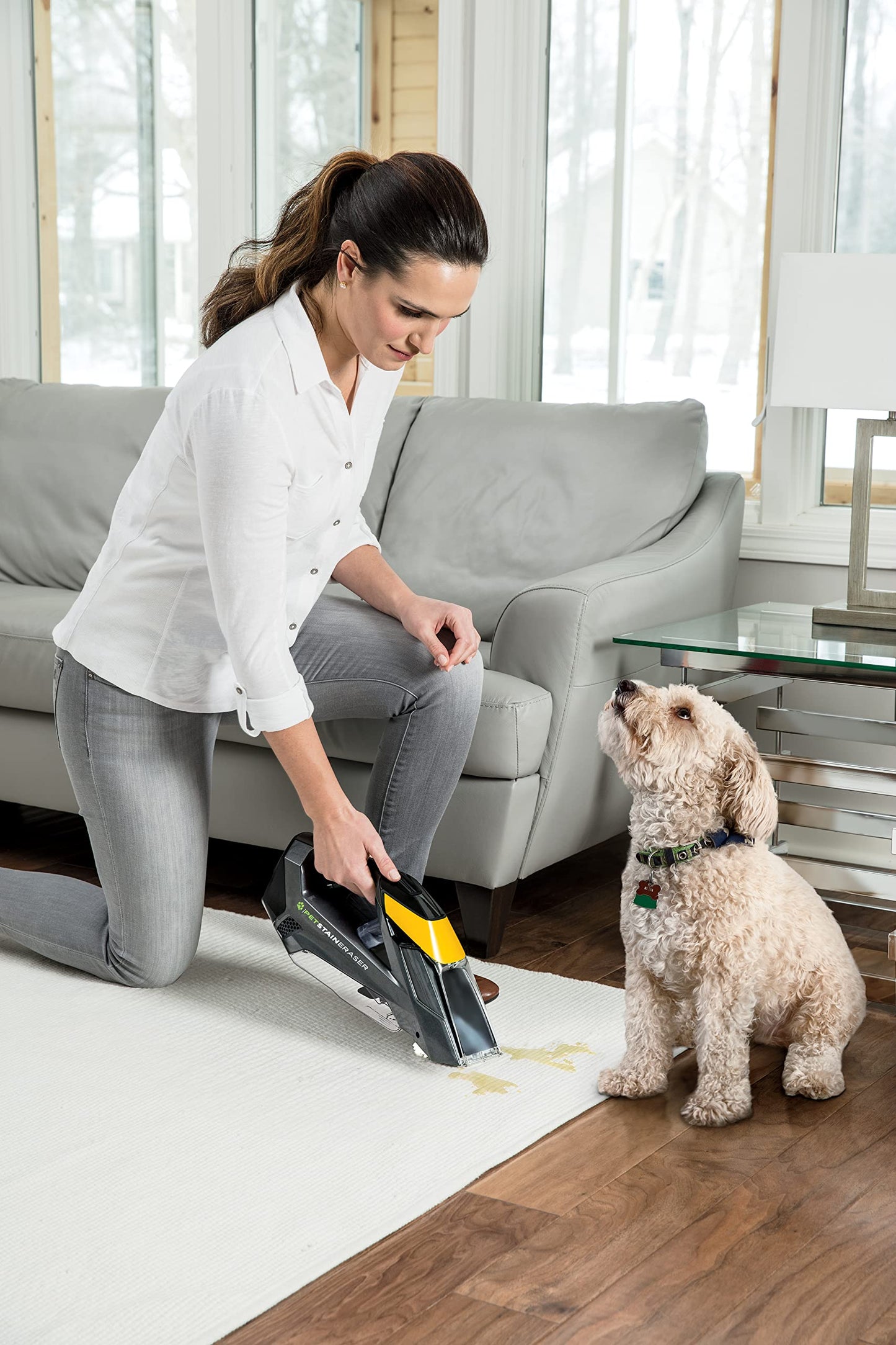 BISSELL Pet Stain Eraser™ Advanced Cordless Portable Carpet Cleaner, 2054C
