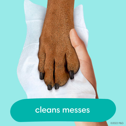 Pampers Baby Wipes  – 3 Pop-Top Packs (168 Wipes)