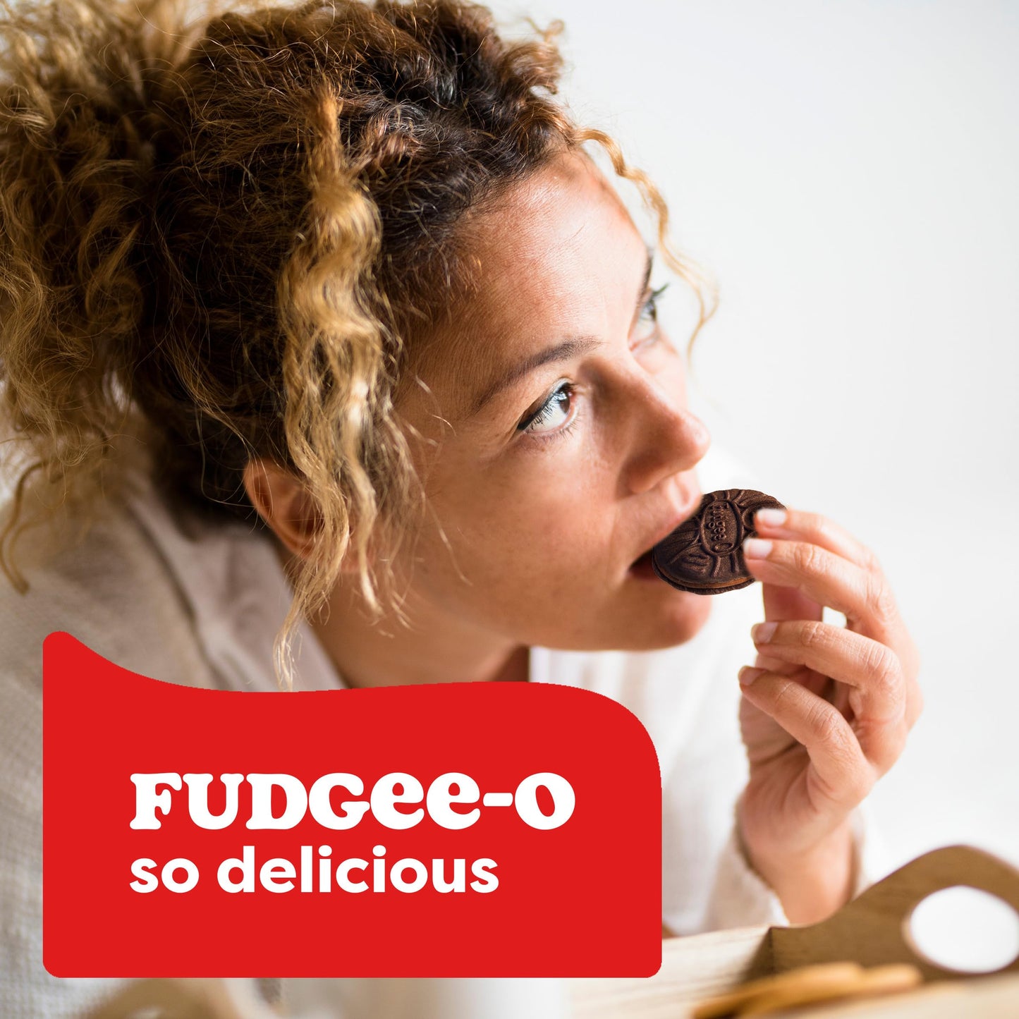 FudgeeO Original Double Chocolate Sandwich Cookies |  10.68 oz