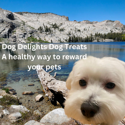 Dog Delights Beef Tendersticks |  600g (21oz)