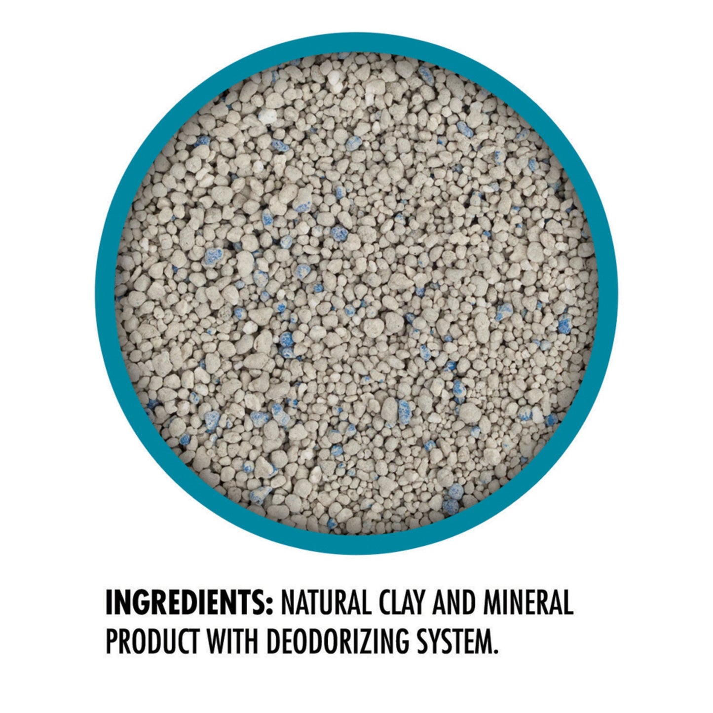 Purina Tidy Cats LightWeight Instant Action Clumping Litter (6 lb)