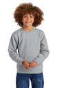 District® Youth V.I.T.™ Fleece Crew DT6104Y